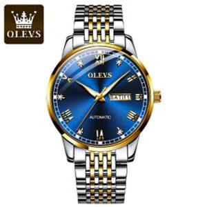 OLEVS 6602 Luxury Watch FI